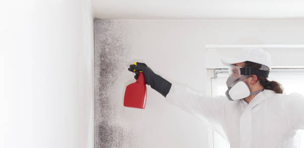 Best Mold Cleaning Services  in Charlotte, TX