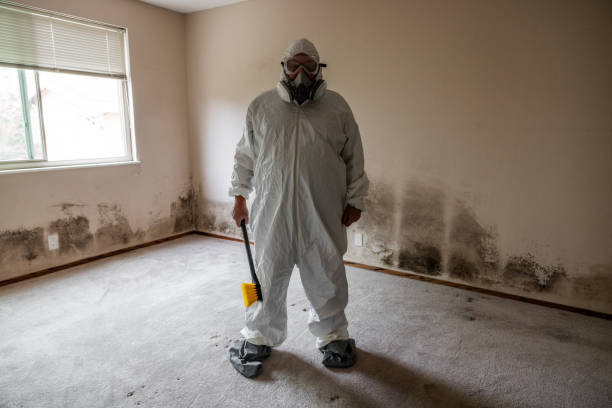 Best Attic Mold Removal  in Charlotte, TX