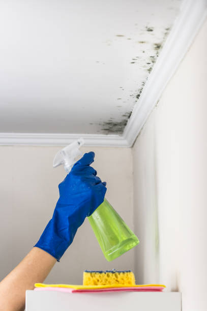 Best Water Damage Restoration  in Charlotte, TX