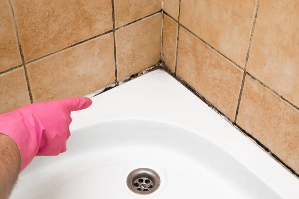 Best Certified Mold Removal  in Charlotte, TX